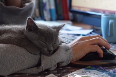 【WEBメディア「朝日新聞DIGITAL（朝日新聞）」にスマサガ不動産のリノベーション事例が掲載】原宿STリノベーション